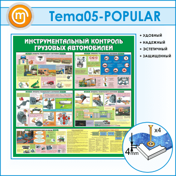 Стенд «Инструментальный контроль грузовых автомобилей» (TM-05)
