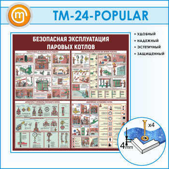 Стенд «Безопасная эксплуатация паровых котлов» (TM-24)