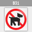 ���� ������ ����� ���������, B31 (������, 200�200 ��)
